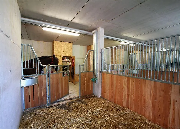 Hotel apartamentowy Family Stubai